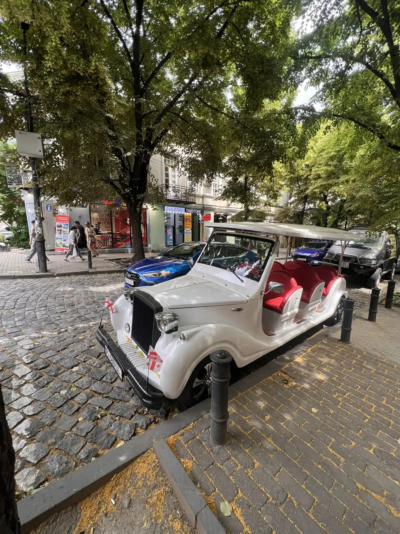 Tbilisi City Tour: Electric Bus Ride